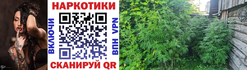Наркошоп купить Бошки Шишки  A PVP  МЕФ  Мариинский Посад