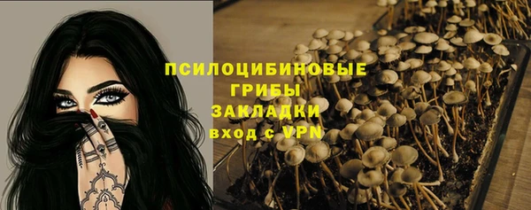 ПСИЛОЦИБИНОВЫЕ ГРИБЫ Волосово