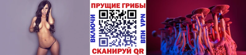 Купить  Мариинский Посад  Псилоцибиновые грибы Magic Shrooms 